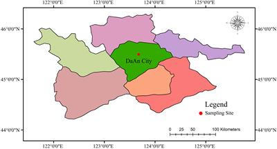 Phosphorus adsorption characteristics and release risk in saline soils: a case study of Songnen Plain, China